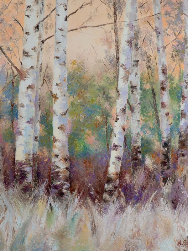 Birch spring, Oil on canvas 100x100